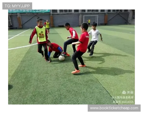 哈哈体育助力青少年体育教育发展，推动校园体育全面升级